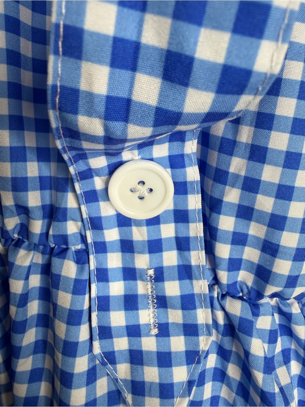 Women’s Blue Gingham “Dorothy” Dress with Puff Sleeve Blouse, Large - Picture 4 of 7